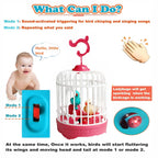 Cute Musical Bird Cage Toy 🐦🎶