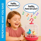 Cute Musical Bird Cage Toy 🐦🎶