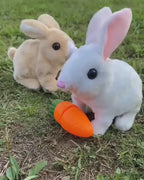 Interactive Hopping Bunny Toy