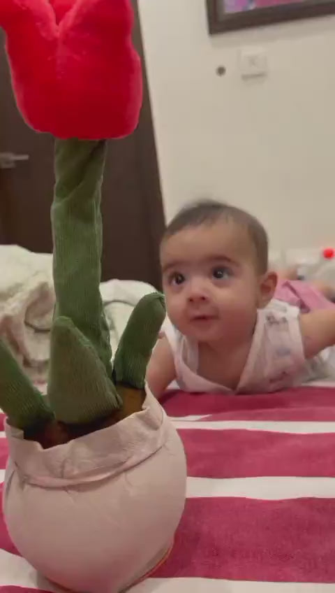 🌵 Dancing Cactus Toy – Sing, Talk & Dance!